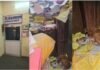 छतरपुर CMHO कार्यालय में आवारा कुतिया ने जन्मे 6 पिल्ले, फाइलों के बीच डेरा देख भड़के कलेक्टर; लगाई फटकार