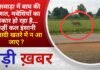BALAGHAT NEWS: बाघ की दहशत, मवेशियों का शिकार हो रहा है… कहीं कल इंसानी आबादी खतरे में न आ जाए ?