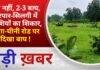 BALAGHAT NEWS: एक नहीं, 2-3 बाघ,शेरपार-सिलगी में मवेशियों का शिकार, लिंगा-चीनी रोड पर दिखा बाघ !