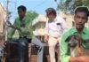 आवारा कुत्तों को पकड़ने पहुंची टीम के पिंजरे पर चढ़ गए डॉग लवर, पालतू बताकर छुड़ा ले गए, खाली हाथ लौटी टीम