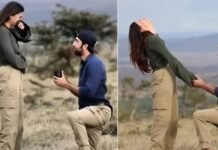 3 बब्बर शेरों के सामने Ranbir Kapoor ने Alia को किया था प्रपोज, बोले- ‘मेरी शेरनी सामने खड़ी थी’
