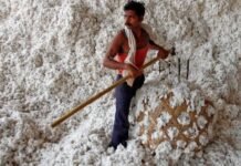 कपड़ा और गारमेंट होंगे सस्ते? सरकार ने कॉटन इंपोर्ट पर दी बड़ी राहत, अब इस तारीख तक नहीं लगेगी कस्टम ड्यूटी