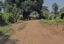 कोसरीटोला से सरंडी मार्ग बदहाल ग्रामीण परेशान