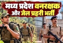MPESB ने जारी किया वनरक्षक और जेल प्रहरी भर्ती की PET परीक्षा के लिए एडमिट कार्ड, यहां से करें डाउनलोड