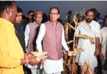 ‘सागौन के पौधों को नष्ट कर वन भूमि पर किया कब्जा’, सीहोर कलेक्टर ने सौंपी रिपोर्ट, आरोपियों के साथ खुलकर खड़े हैं शिवराज