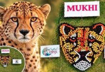 Kuno National Park: कौन है मादा चीता मुखी? उम्मीद का दूसरा नाम, 70 साल बाद भारत में जन्मी, 1000 महिलाओं ने बनाई आकृति