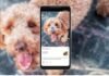 नहीं जानते Google Lens के ये 5 शानदार फीचर्स तो स्मार्टफोन चलाना बेकार है