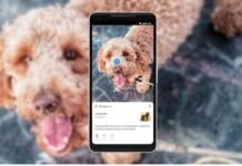 नहीं जानते Google Lens के ये 5 शानदार फीचर्स तो स्मार्टफोन चलाना बेकार है