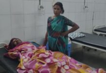 तेज रफ्तार बोलेरो अनियंत्रित होकर पलटी,3 मजदूर घायल