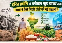 Explained: कभी विदेशों से मंगाता था अनाज, अब दुनिया को खिला रहा भारत! कैसे बदली देश की कृषि की तस्वीर?