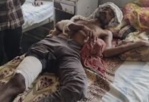 आगरवाड़ा के जंगल में भालू का हमला: ग्रामीण घायल