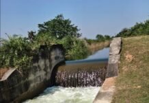 मवेशी को बचाने नहर में उतरे युवक की डूबने से मौत