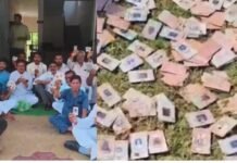 मध्य प्रदेश में नर्मदा किनारे मिले 343 लावारिस मतदाता पहचान पत्र, कांग्रेस ने की FIR की मांग, किया थाने का घेराव